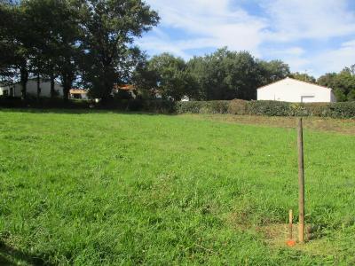 Vente Terrain SAINTE-FOY 85150