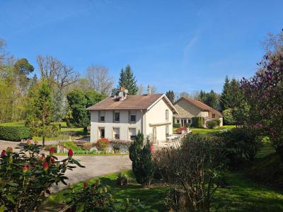 Vente Prestige EPINAL 88000