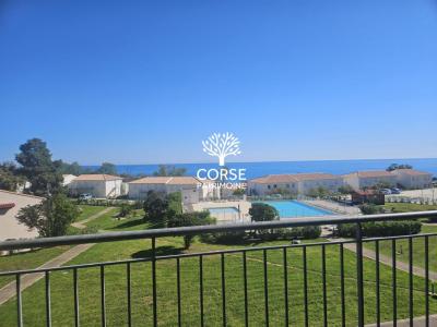 Vente Appartement 3 pi�ces LINGUIZZETTA 20230