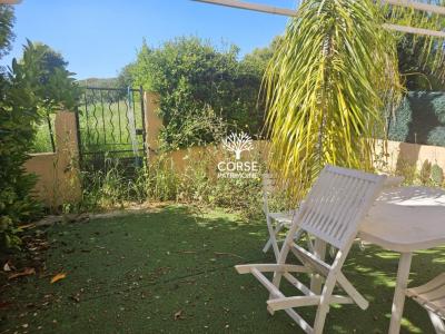 Vente Appartement 3 pi�ces LINGUIZZETTA 20230