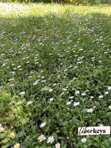 Vente Terrain EGUILLES  13