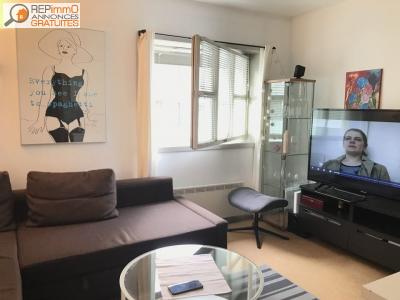 Location Appartement 2 pi�ces NANTES 44300