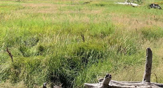 For sale Land HOURTIN  33