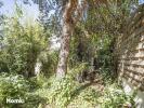 Annonce Vente 5 pi�ces Maison Ille-sur-tet
