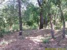 Annonce Vente Terrain Mayons