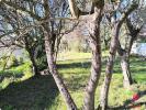 Annonce Vente Terrain Draguignan