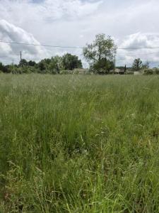 Vente Terrain COUTRAS 33230