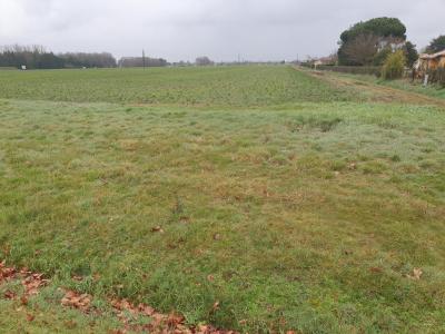Vente Terrain FARGUES-SAINT-HILAIRE 33370