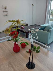 For rent Apartment FURIANI 