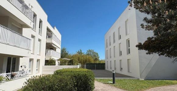 Location Appartement 4 pi�ces BRUGES 33520