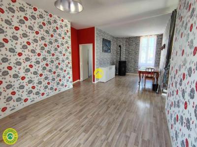 Vente Maison SANCOINS 