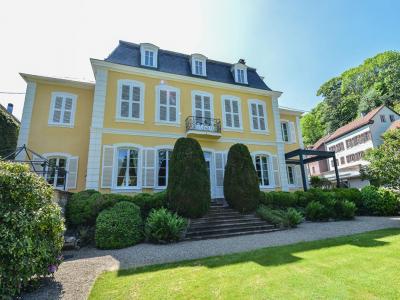 Vente Prestige SAINTE-MARIE-AUX-MINES 68160