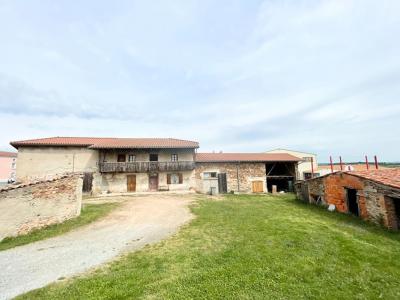 Vente Maison AMIONS VEZELIN-SUR-LOIRE 42