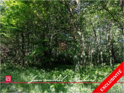 Vente Terrain CANDE-SUR-BEUVRON 41120