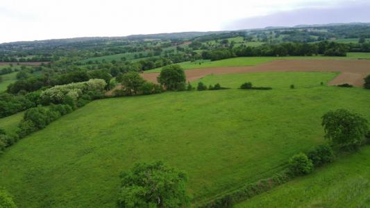 For sale Land SAINT-MARTIN-LE-VIEUX  87
