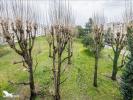 Apartment PESSAC 