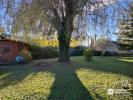 Acheter Terrain Entraigues-sur-la-sorgue Vaucluse
