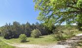 Vente Terrain Besse-sur-issole 83