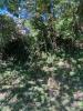 Acheter Terrain Sombernon 60000 euros