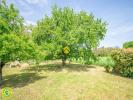 Annonce Vente 6 pi�ces Maison Buisson-de-cadouin