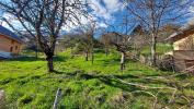 Annonce Vente Terrain 