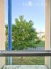 Apartment SALVETAT-SAINT-GILLES 