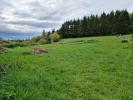 Acheter Terrain 6800 m2 Saint-just-en-chevalet
