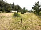 Annonce Vente Terrain Telgruc-sur-mer