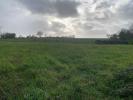 Land SAINT-MARTIN-LARS-EN-SAINTE-HERM 