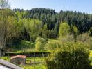 Vente Maison Violay 42