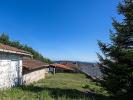 Vente Maison Violay 42