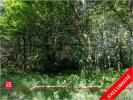 Vente Terrain Cande-sur-beuvron 41