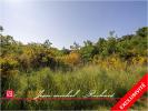Acheter Terrain 32767 m2 Cande-sur-beuvron