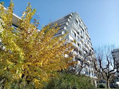 Vente Appartement 3 pi�ces GRANDE-MOTTE 34280