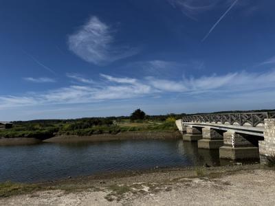 Vente Terrain ILE-D'OLONNE 85340