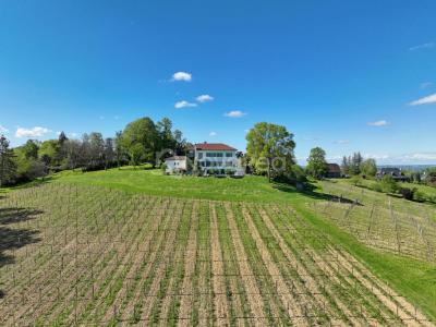 For sale House JURANCON 