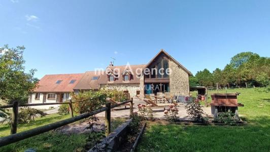 Vente Maison 11 pi�ces FERTE-MACE 61600