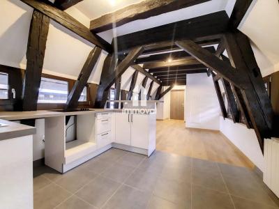 Location Appartement STRASBOURG 67000