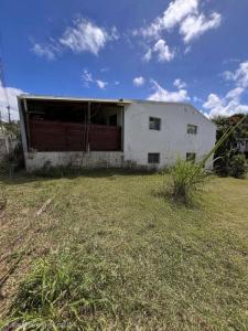 Vente Appartement SCHOELCHER 