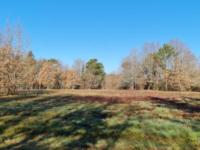 Vente Terrain SAINT-LAURENT-DES-HOMMES  24