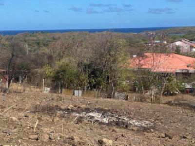 Vente Terrain SAINTE-ANNE  972