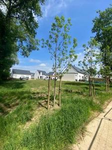 Vente Terrain PLUVIGNER 56330