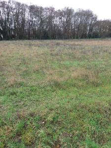 Vente Terrain POMPIGNAC 33370