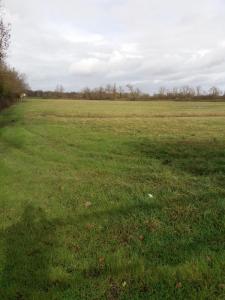 Vente Maison 5 pi�ces CARIGNAN-DE-BORDEAUX 33360