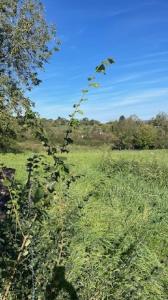 Vente Terrain BOUXIERES-AUX-CHENES  54