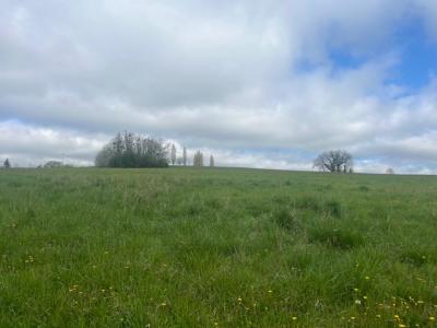 Vente Terrain CARIGNAN-DE-BORDEAUX 33360