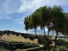Annonce Vente 3 pi�ces Appartement 