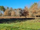 Acheter Terrain 11408 m2 Saint-laurent-des-hommes