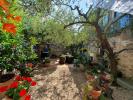 House UZES 