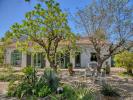 House ANDUZE 
